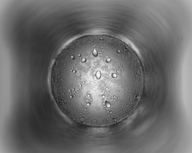 X0000094081429200710261258