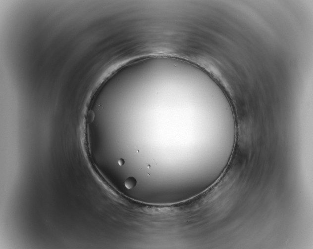 X0000094081432200710261258