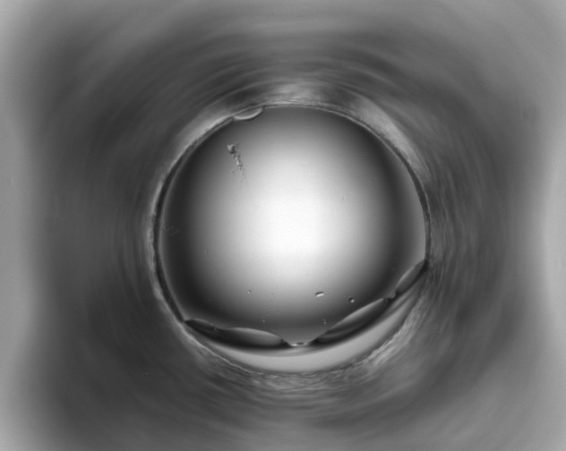 X0000094081434200710261258