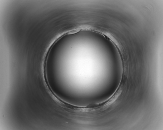 X0000094081438200710261258