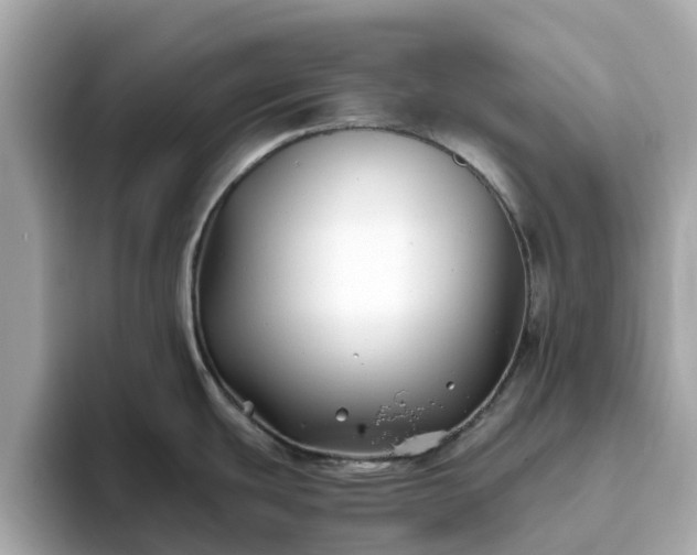 X0000094081439200710261258