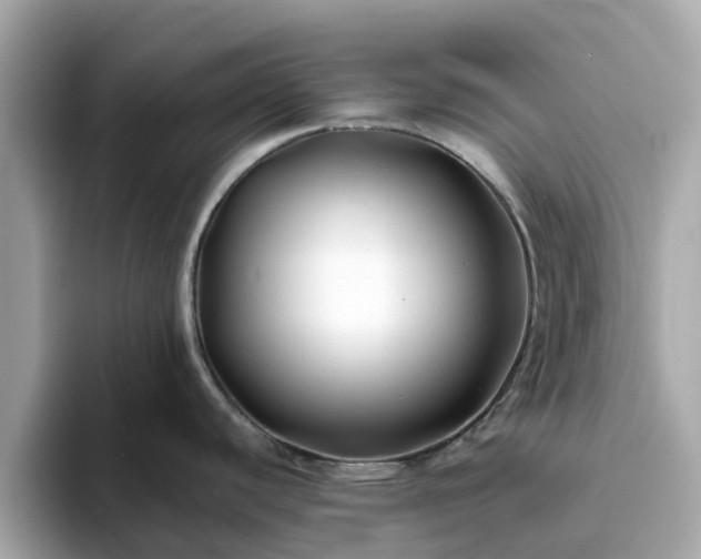 X0000094081440200710261258