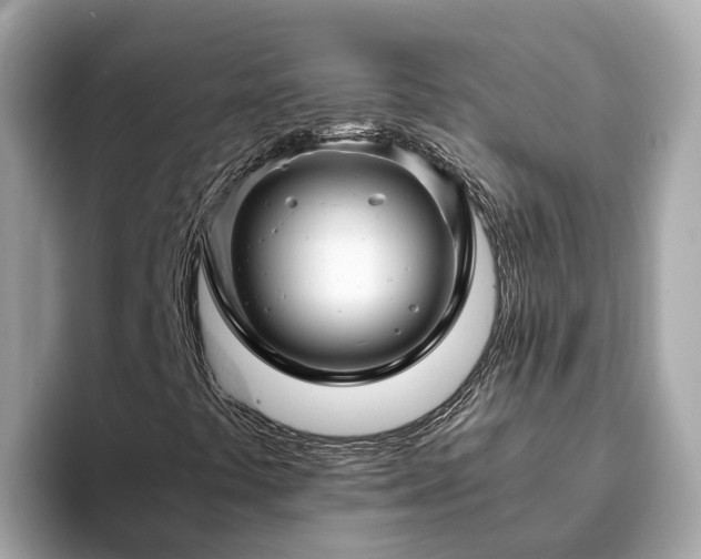 X0000094081441200710261257