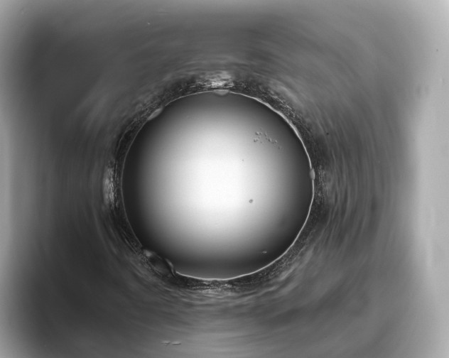 X0000094081442200710261257