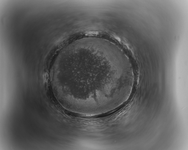 X0000094081445200710261257