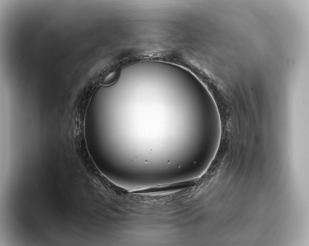 X0000094081447200710261257