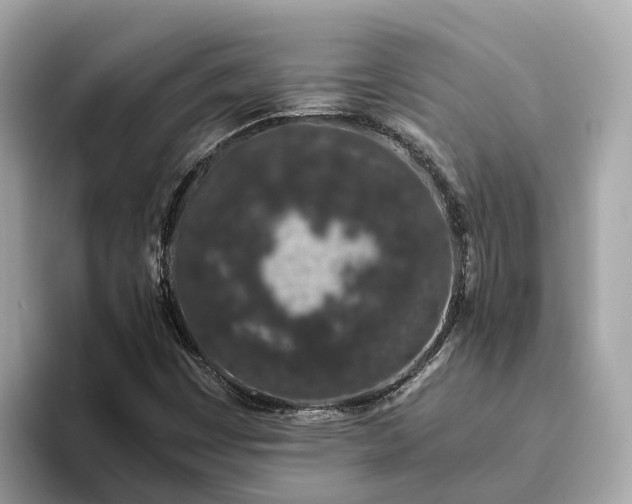 X0000094081449200710261257