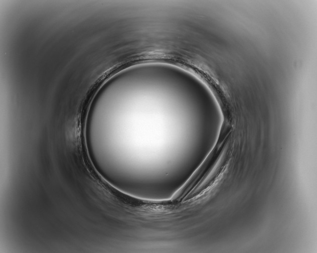 X0000094081450200710261257