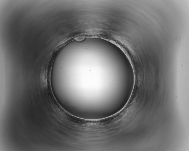 X0000094081451200710261257