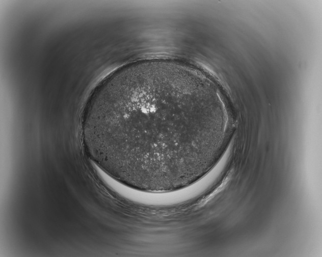 X0000094081453200710261257