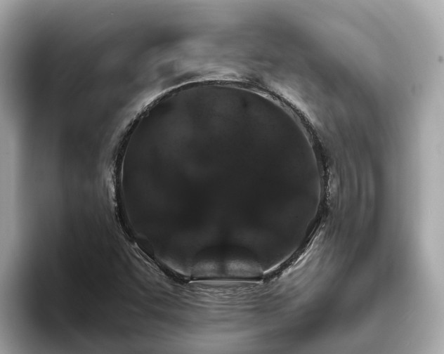 X0000094081455200710261257