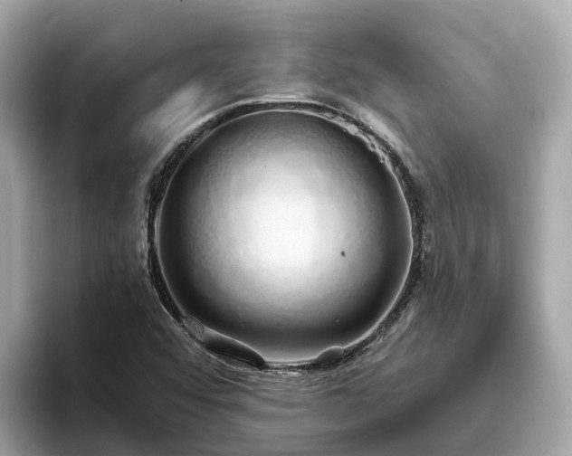 X0000094081456200710261257