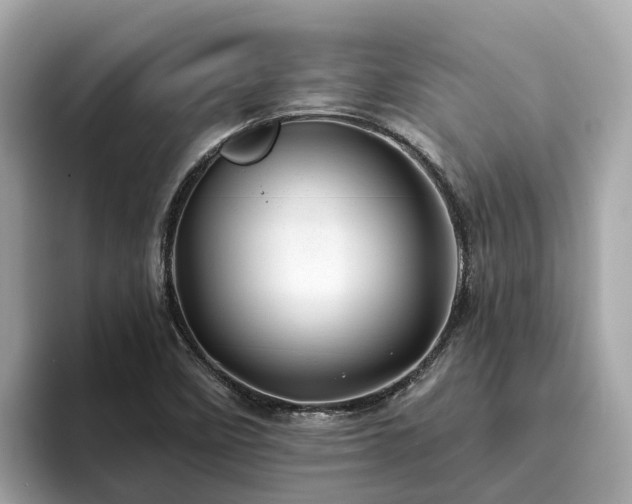 X0000094081458200710261257