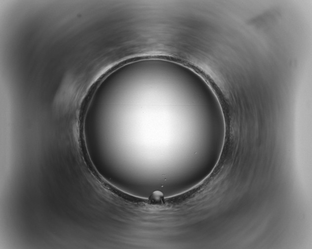 X0000094081460200710261257