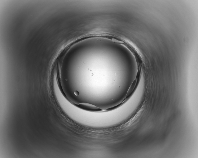 X0000094081461200710261257