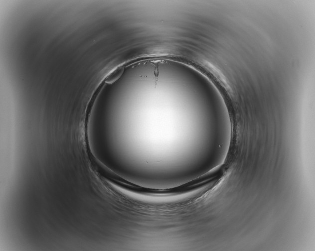 X0000094081465200710261257