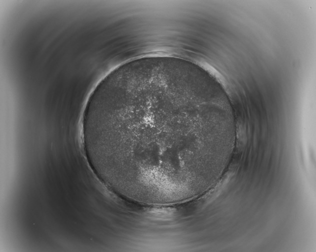 X0000094081466200710261257