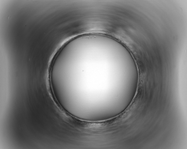 X0000094081470200710261257