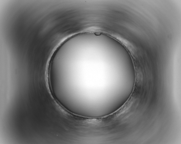 X0000094081478200710261257