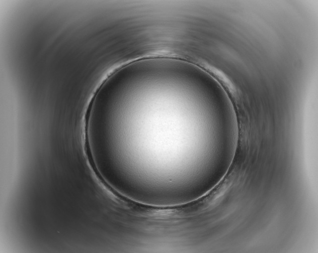 X0000094081479200710261257