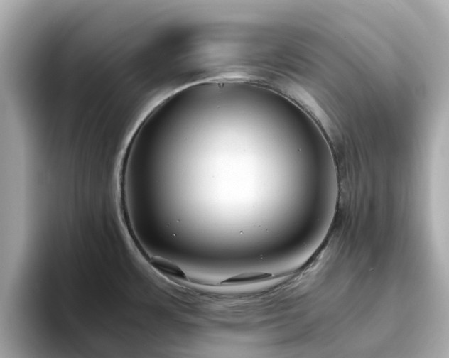 X0000094081483200710261257