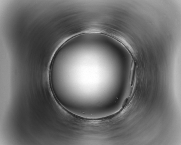 X0000094081484200710261257