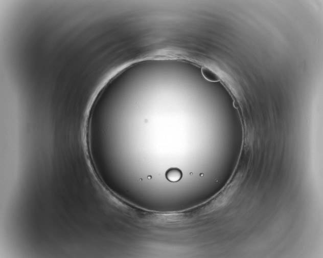 X0000094081486200710261257