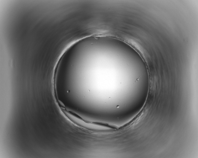 X0000094081487200710261257