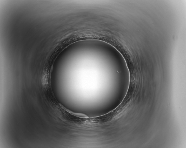 X0000094081490200710261256