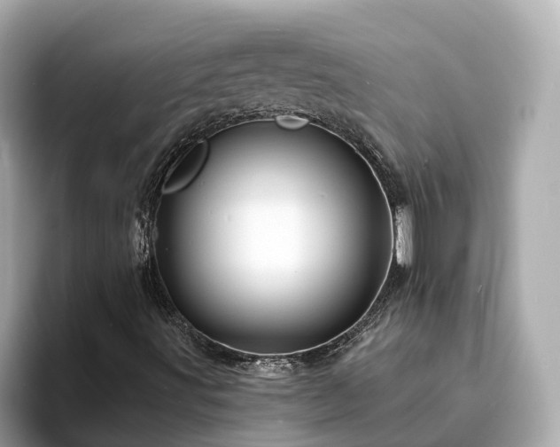 X0000094081491200710261256