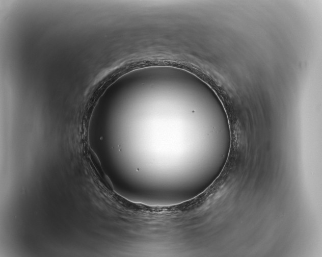 X0000094081494200710261256