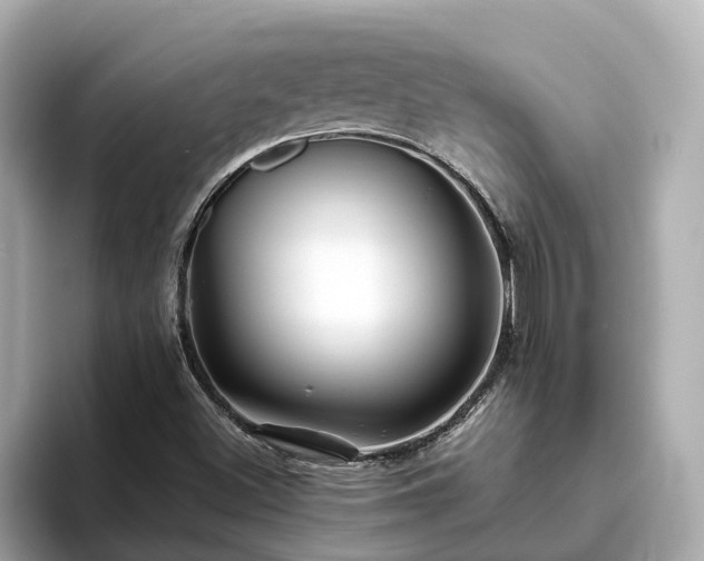 X0000094081500200710261256