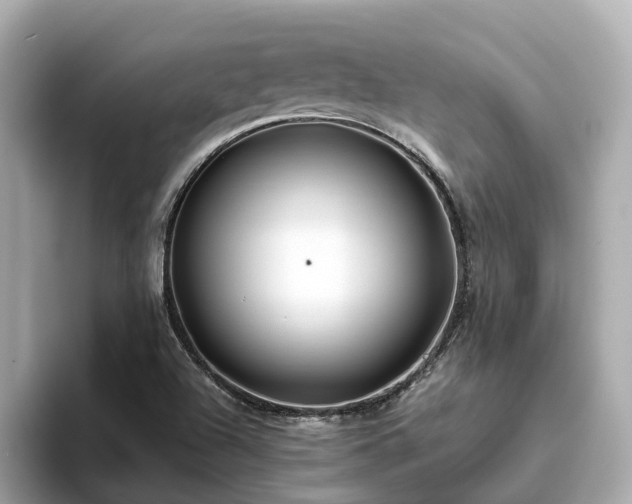 X0000094081504200710261256