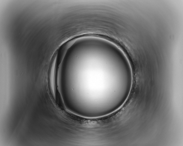 X0000094081505200710261256