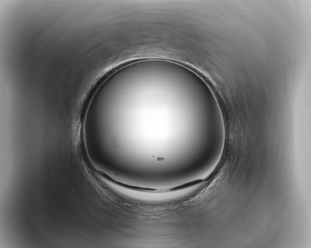 X0000094081507200710261256