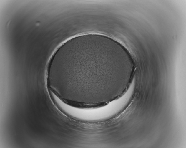 X0000094081508200710261256