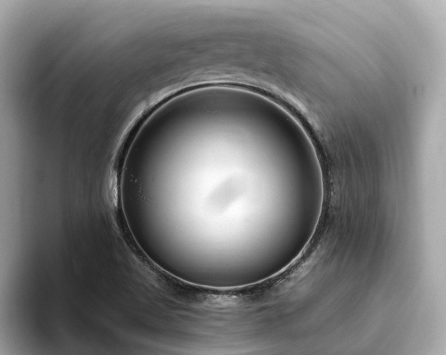 X0000094081509200710261256