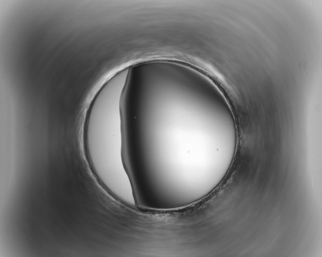 X0000094081512200710261256