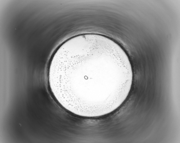 X0000094081514200710261256