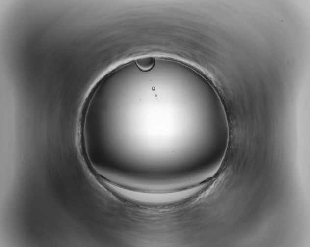 X0000094081518200710261257