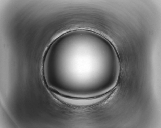 X0000094081525200710261257