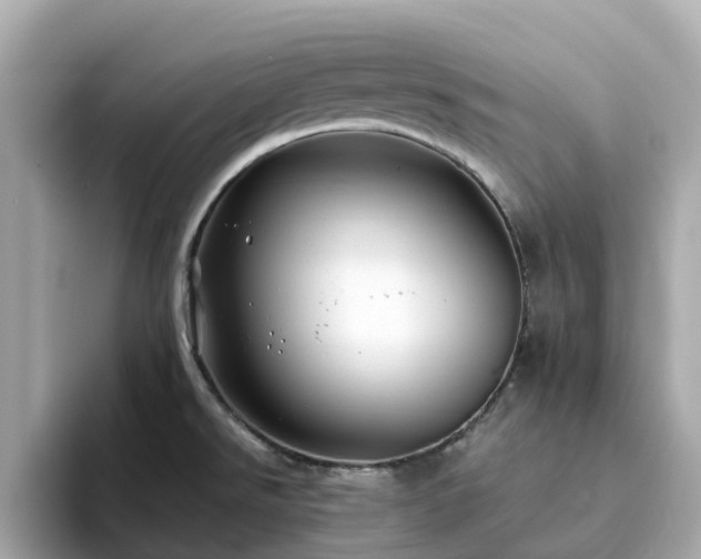 X0000094081526200710261257