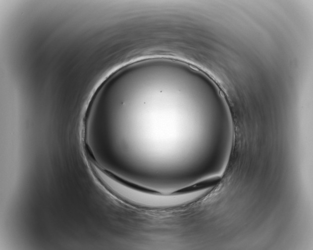 X0000094081527200710261257