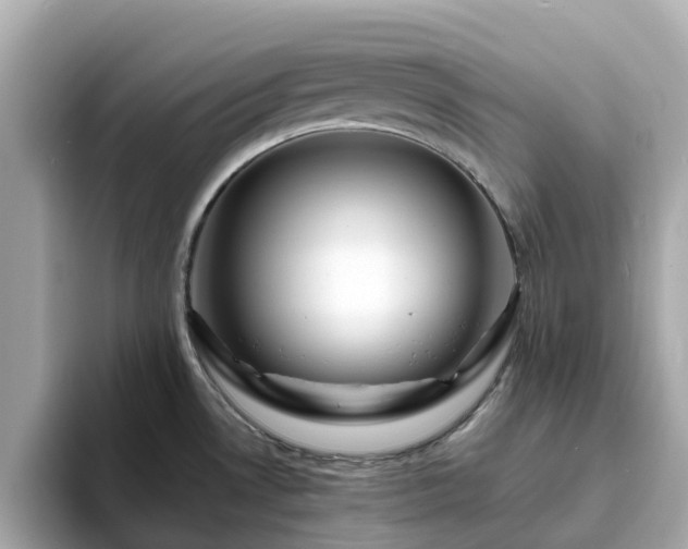 X0000094081530200710261257