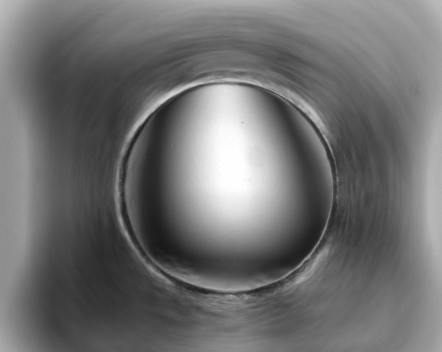 X0000094081533200710261257