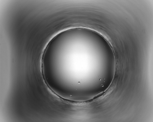 X0000094081535200710261257