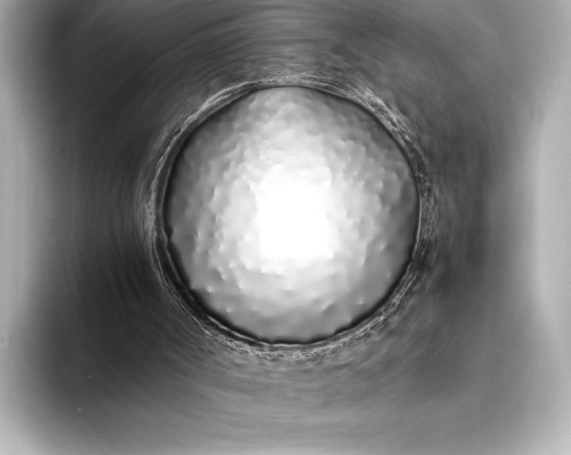 X0000094080002200711021521
