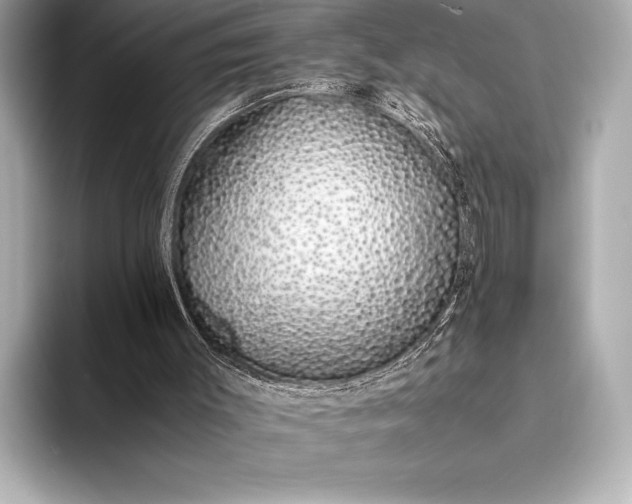 X0000094080003200711021521
