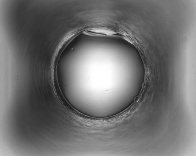 X0000094080006200711021521
