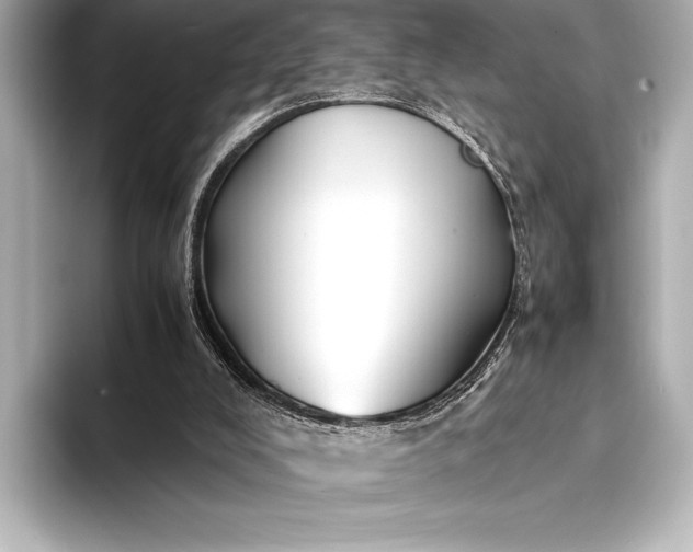 X0000094080008200711021521